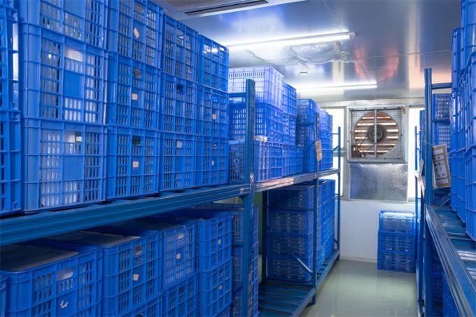 تروکار هاسون لاپاراسکوپی یکبار مصرف 10 میلی متری برای جراحی شکم T10L100H-Surgsci 7