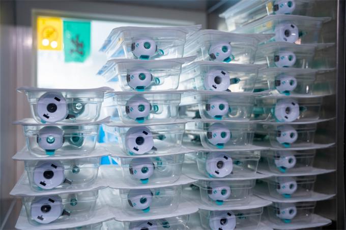 تروکار یکبار مصرف پلاستیکی بدون دریچه طراحی 5 میلی متر برای استفاده در جراحی آندوسکوپی 7